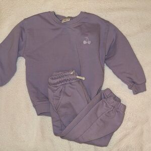 Zara Kids Lavender Sweatshirt and Joggers